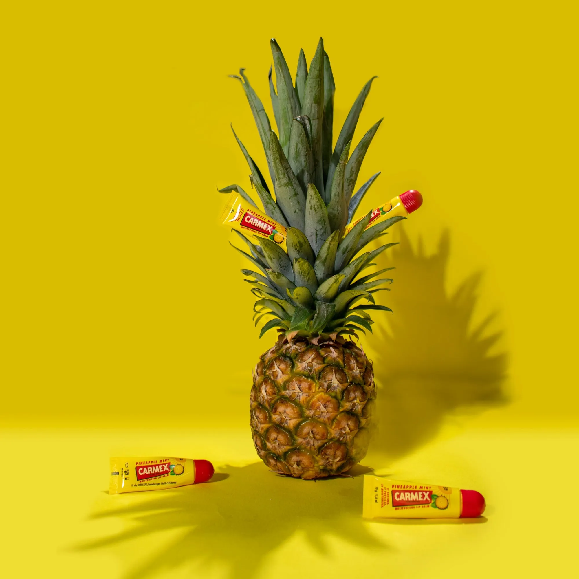 Carmex Pineapple & Mint Tube 10g