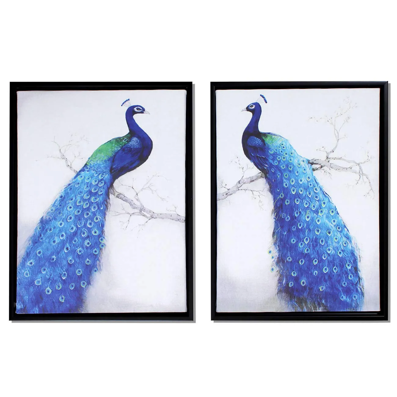 Painting Mantra Peacock Theme Framed Wall Art Print Canvas Painting -13x17 inch, Set of 2