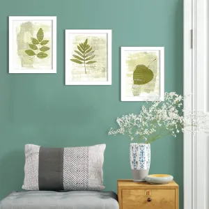 Painting Mantra UV Textured Art Prints Synthetic Green Nature White Framed Painting (10x12-inch) - Set of 3