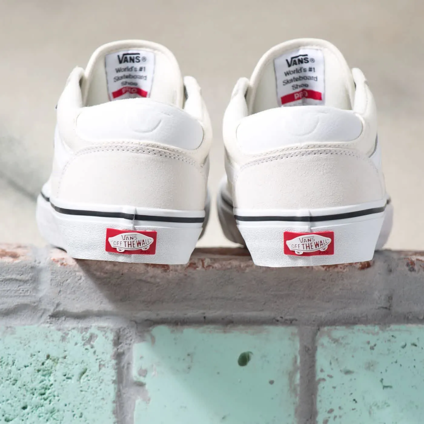 Vans Rowan Pro Marshmallow White Skate Shoes