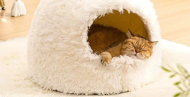 Washable Cat Dog Bed - Cozy Creme Pet Tent